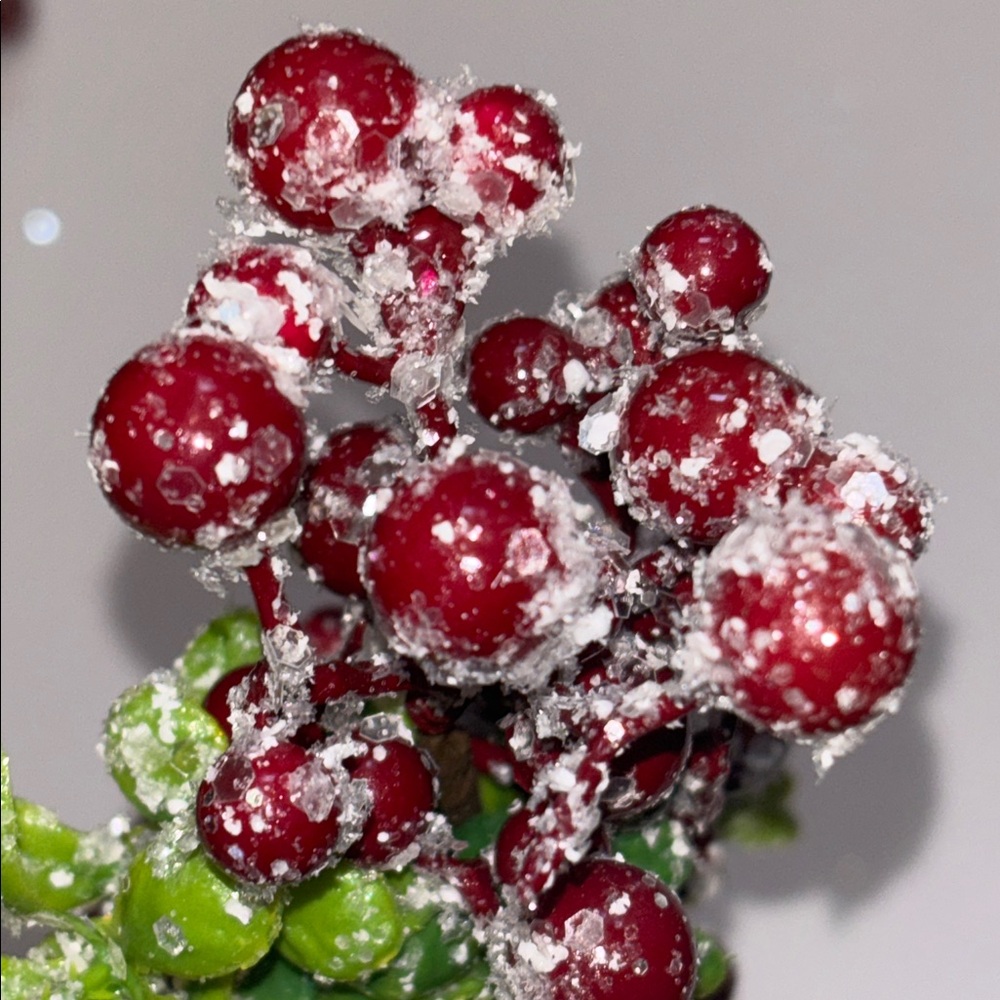 Snow Frosted Red Berry Stems Glitter Red Berries Eucalyptus Picks Set of 12 NWT - Picture 15 of 16